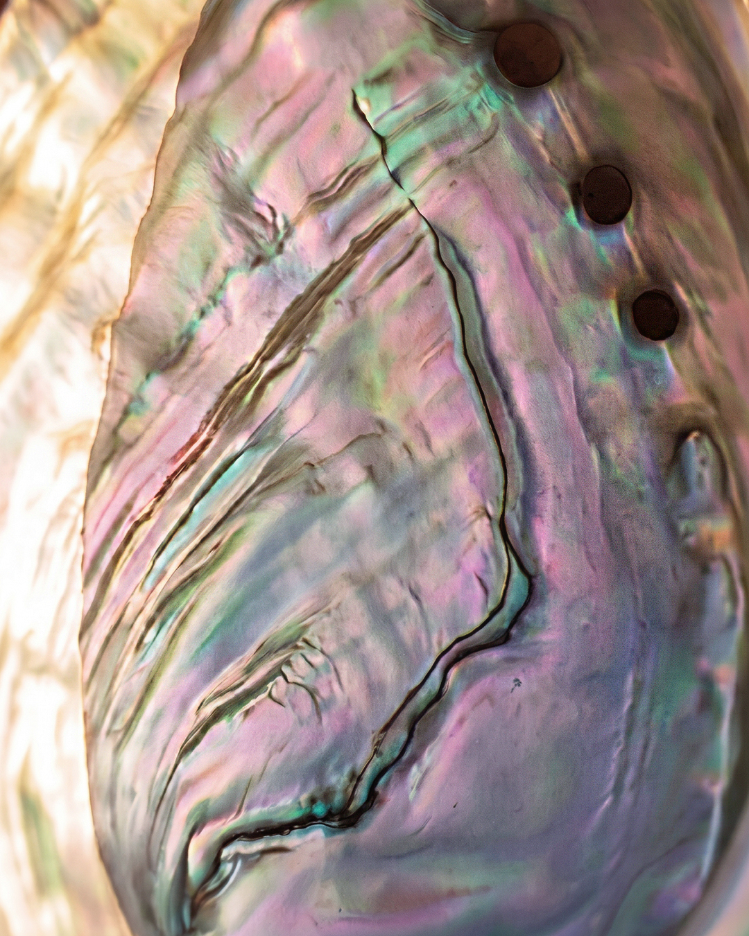 The "Mermaid" Necklace - Image 3