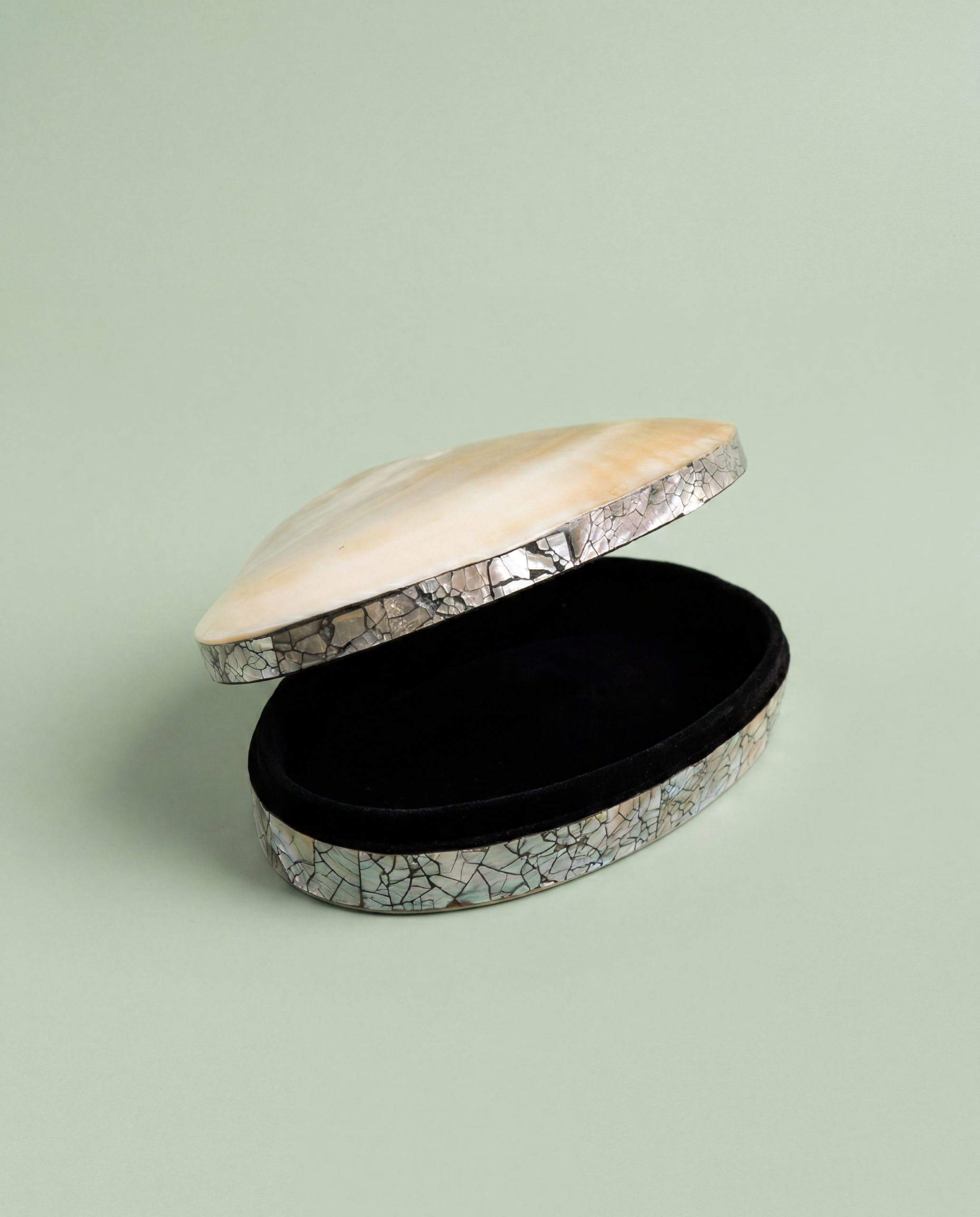 Shell Jewelry Box - Medium Size - Image 2